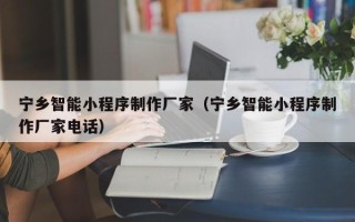 广东宁乡智能小程序制作厂家（宁乡智能小程序制作厂家电话）